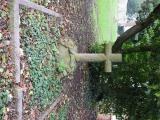 image of grave number 753757